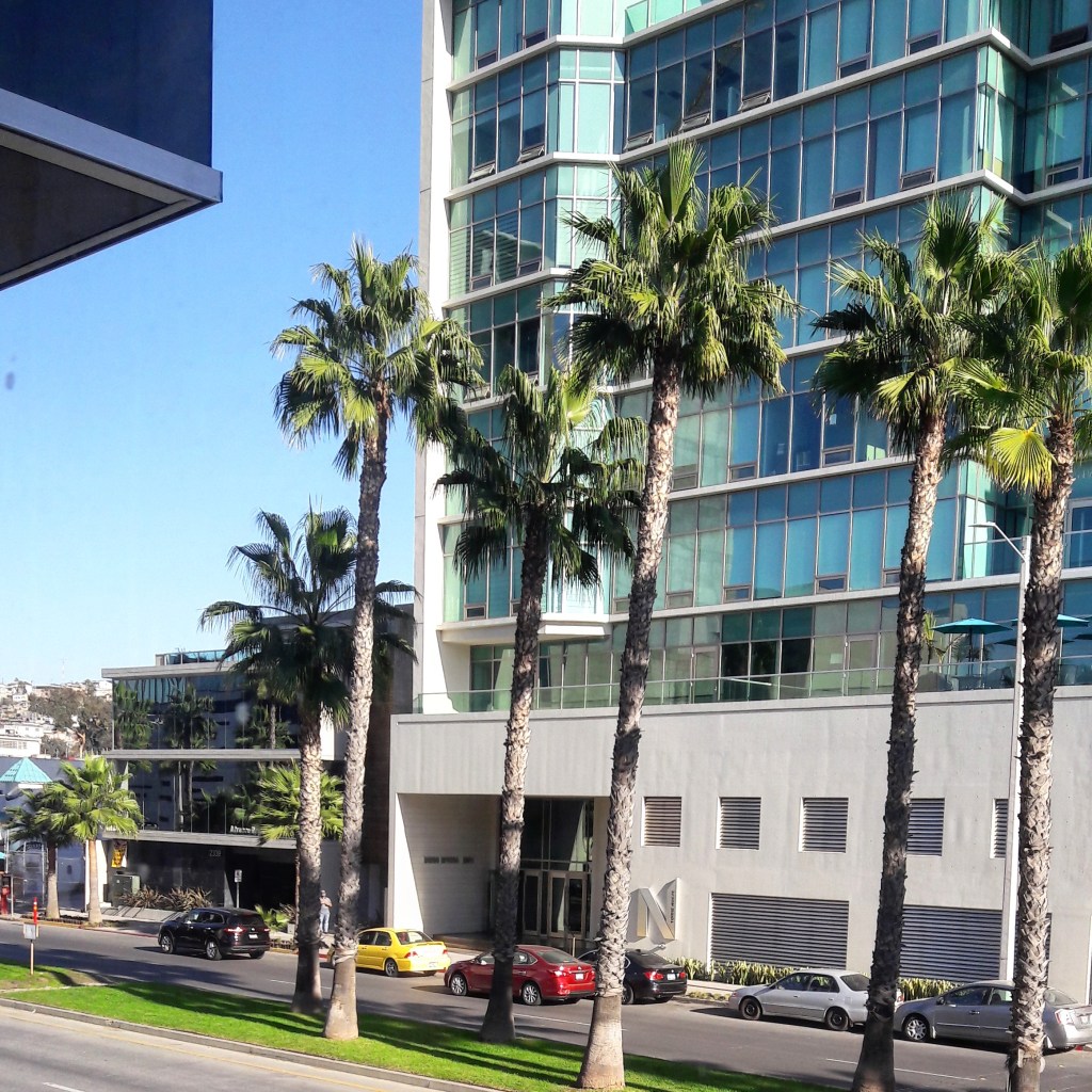 Asesoria de Imagen – Tijuana, Baja California.Mexico