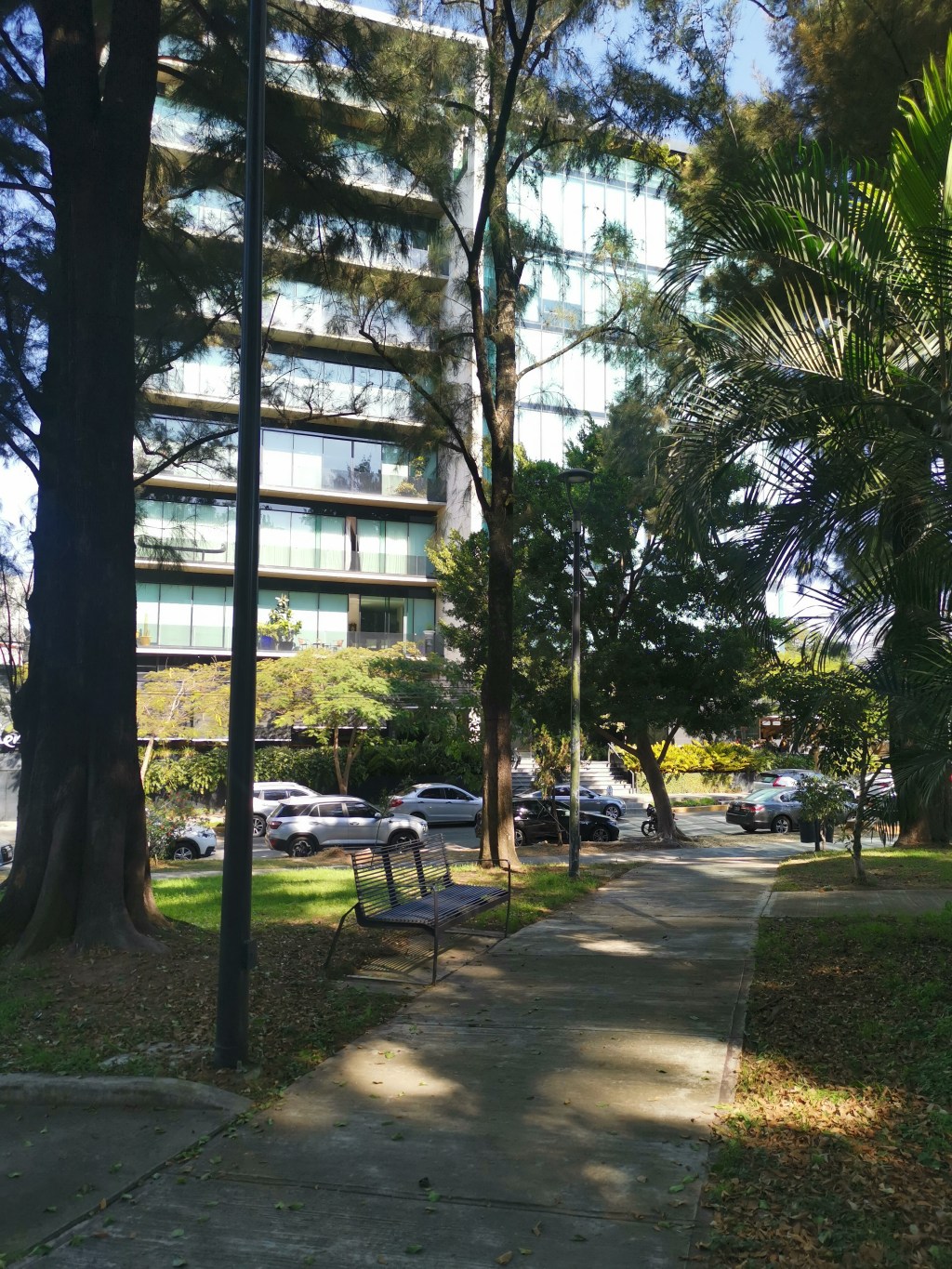 Transformación Personal: La Clave para una Imagen Auténtica y&nbsp;Empoderada