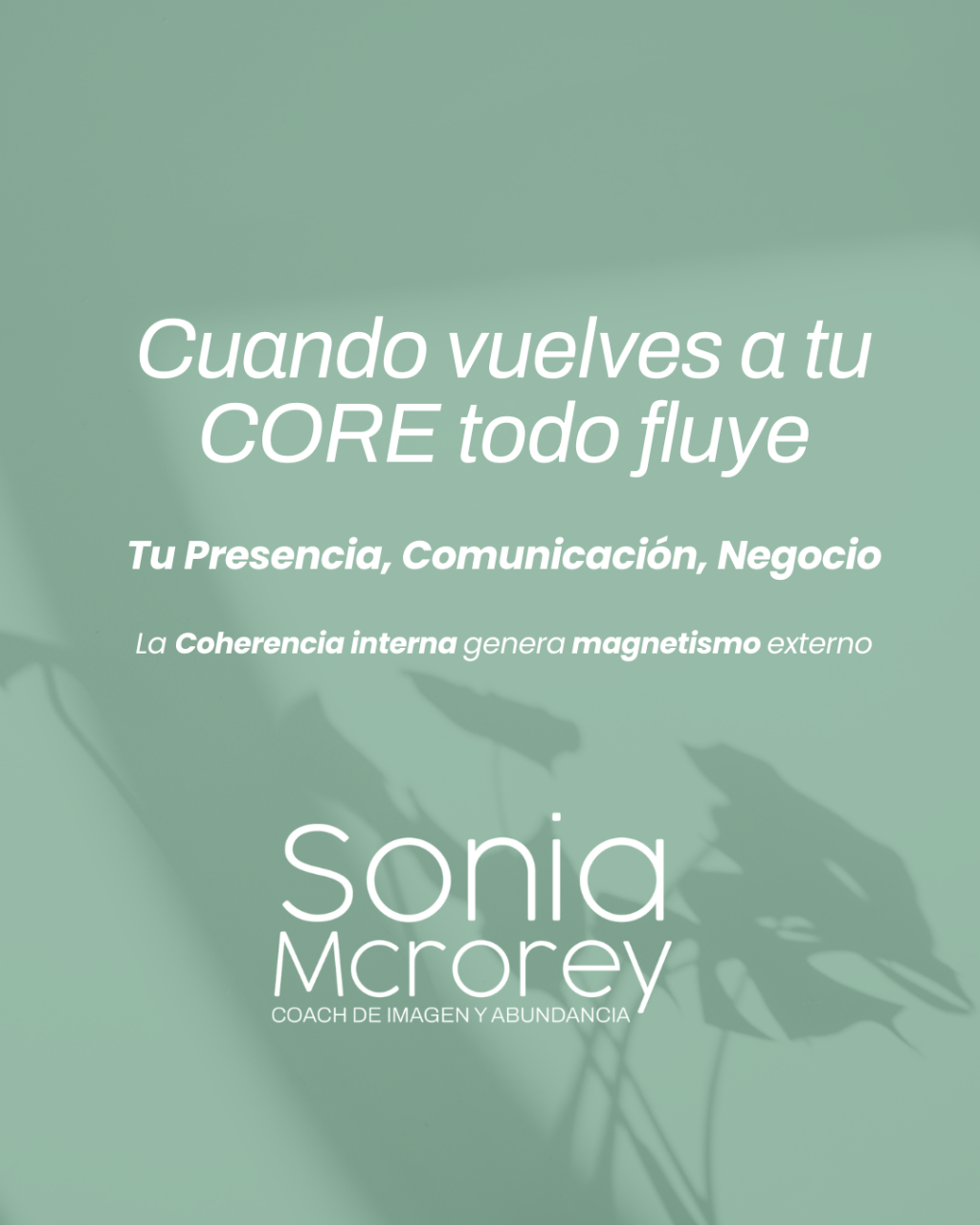 Transforma tu Imagen y Mentalidad con&nbsp;DressRevolution