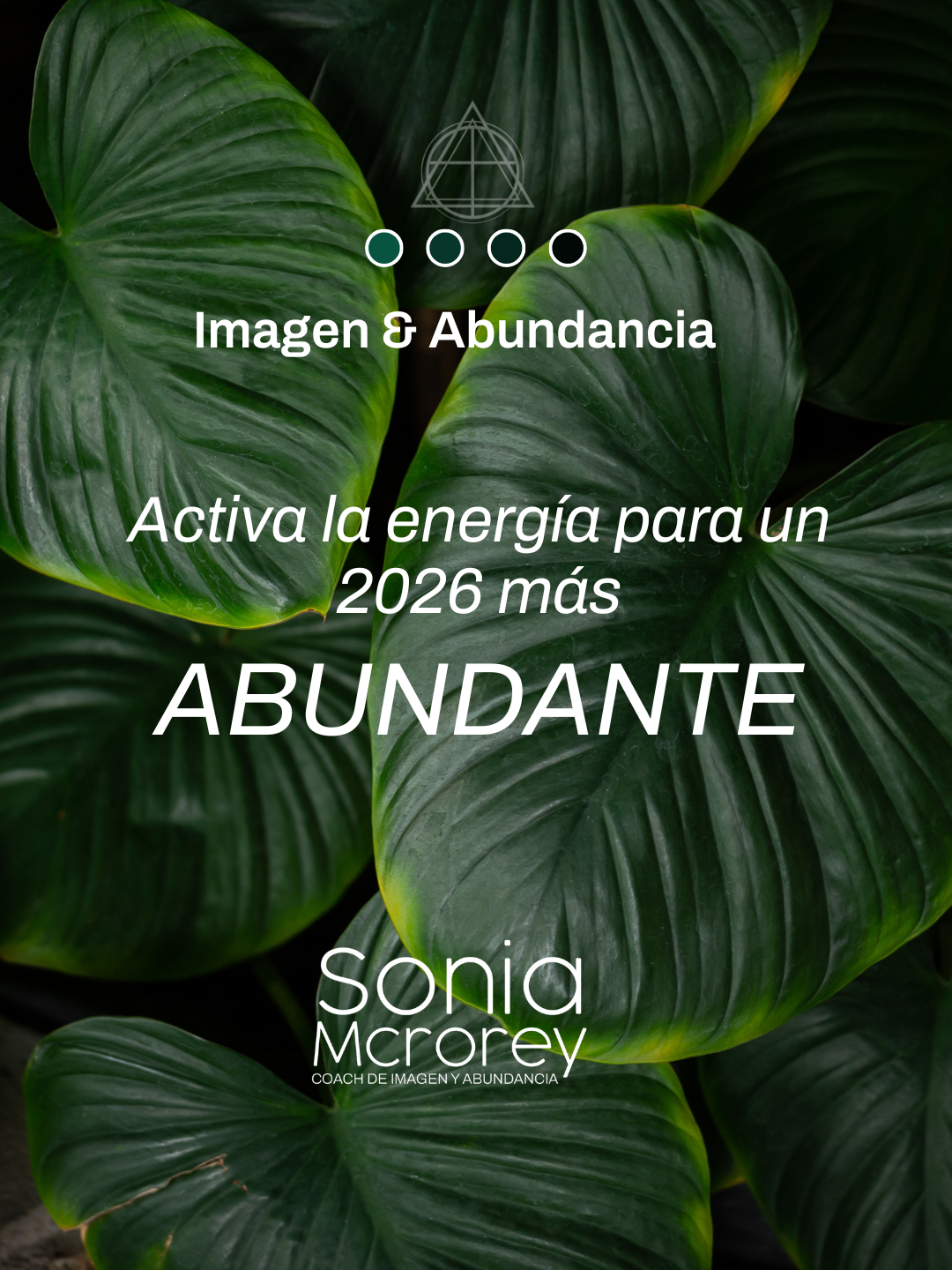 Experiencias para Cerrar Ciclos y Manifestar Abundancia